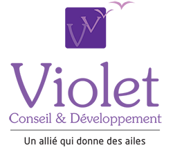 Violet Conseil et Développement